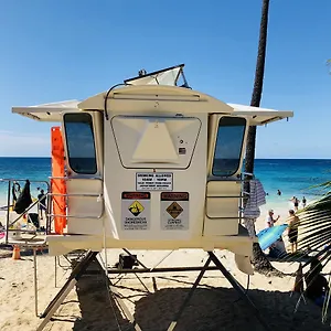 https://kona-magic-honu-room.hotelsinhawaii.org